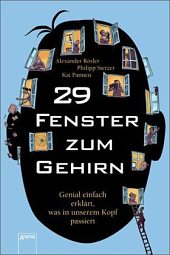 29-fenster-zum-gehirn